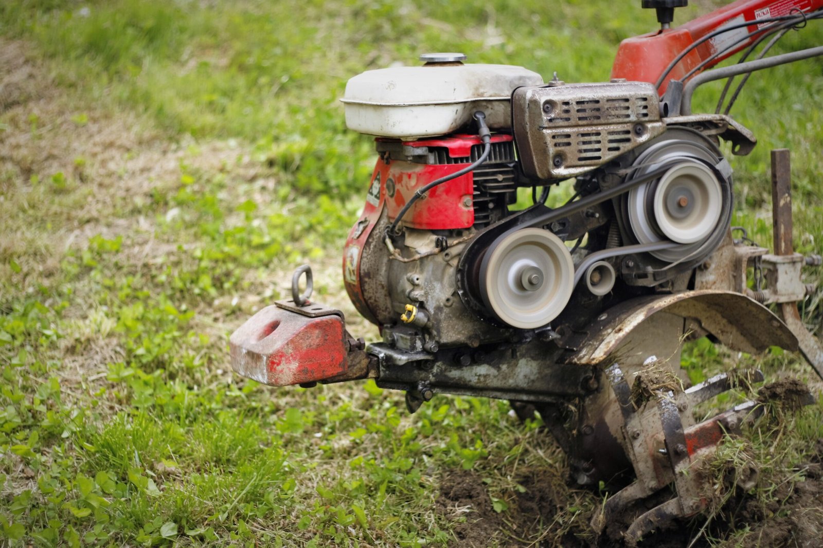 Stump Grinding / Stump Removal - Image 2